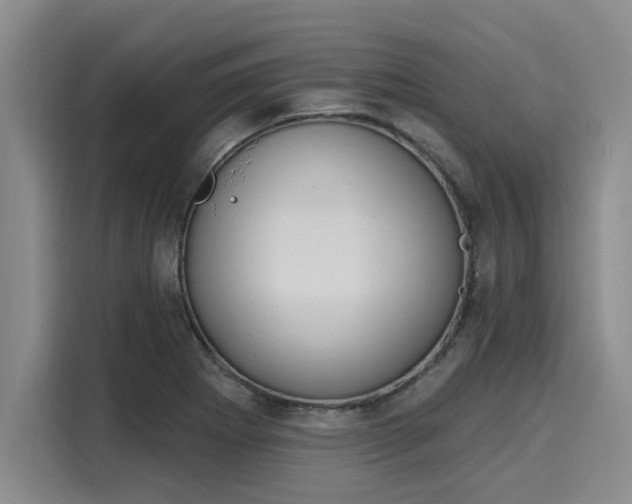 X0000116151273200911301533