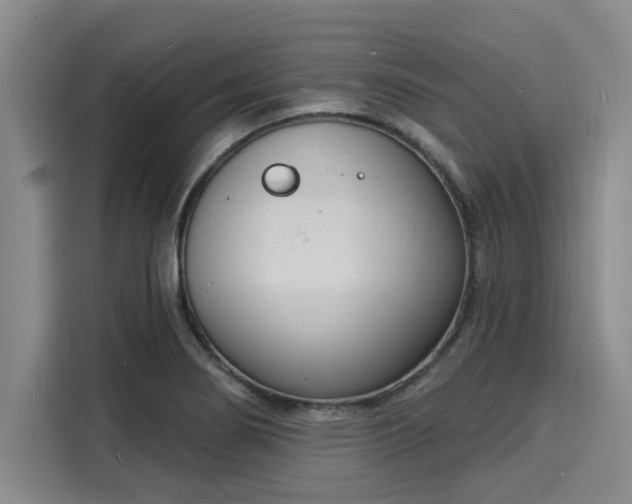 X0000116151274200911301533