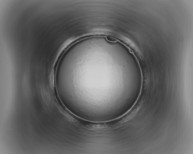 X0000116151275200911301533