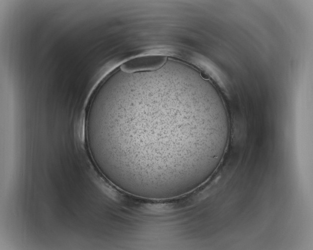 X0000116151276200911301533