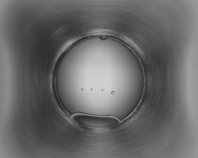 X0000116151277200911301533