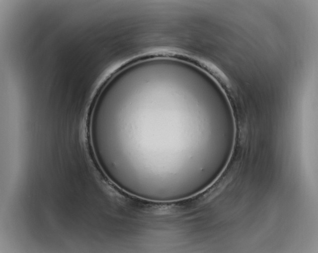 X0000116151279200911301533