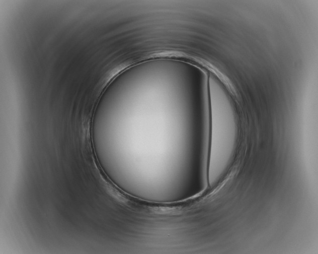 X0000116151281200911301533