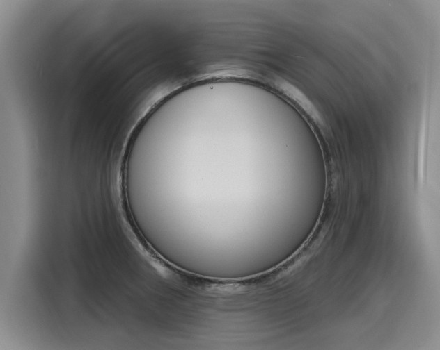 X0000116151282200911301533