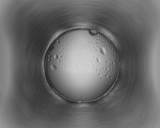 X0000116151283200911301533