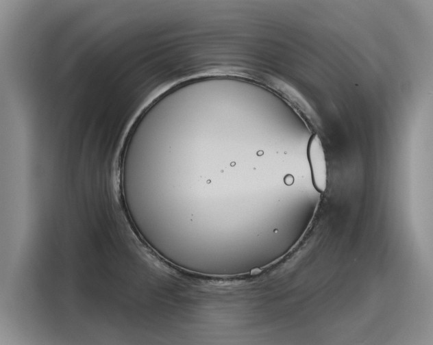 X0000116151284200911301533