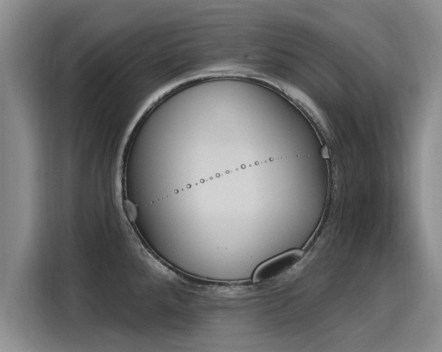 X0000116151288200911301533