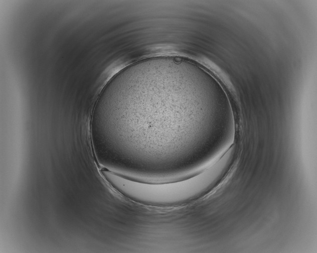 X0000116151289200911301533