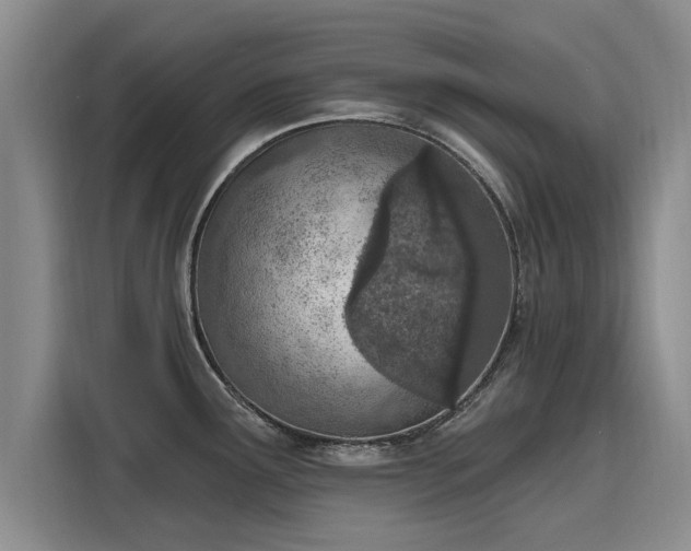 X0000116151291200911301533