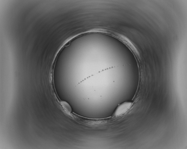 X0000116151292200911301533