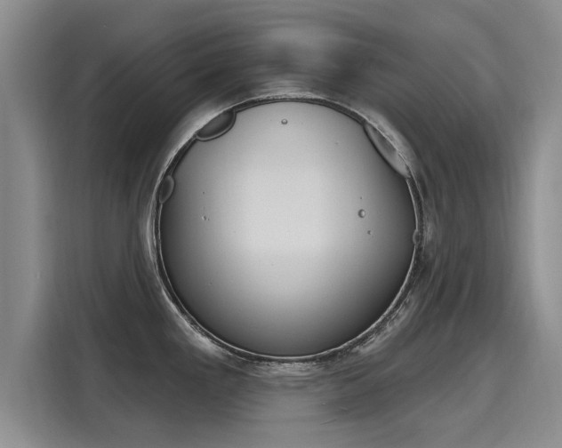 X0000116151293200911301533