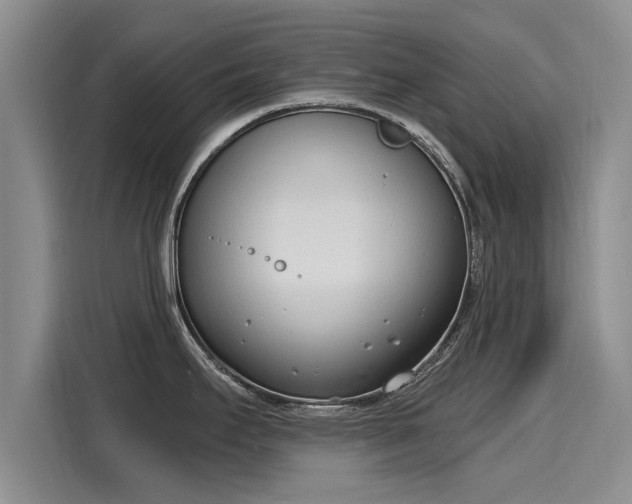 X0000116151295200911301533