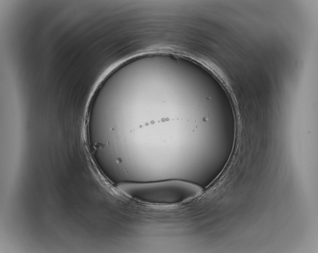 X0000116151296200911301533