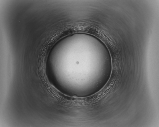 X0000116151297200911301532