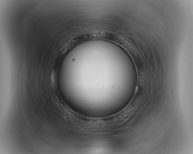 X0000116151298200911301532