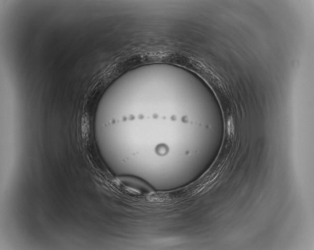 X0000116151299200911301532