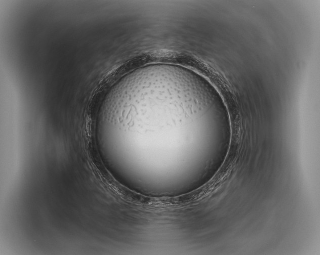 X0000116151301200911301532