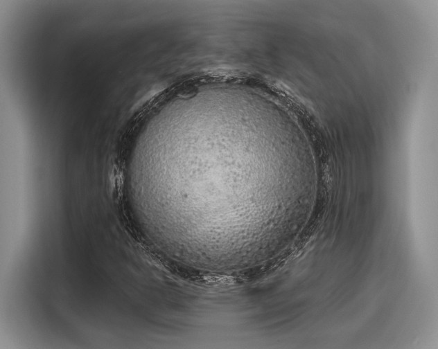 X0000116151302200911301532