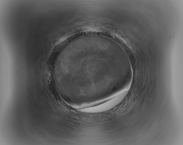 X0000116151303200911301532