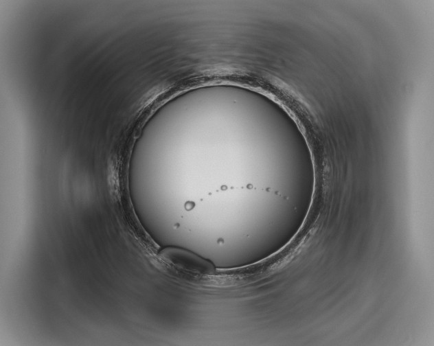 X0000116151305200911301532