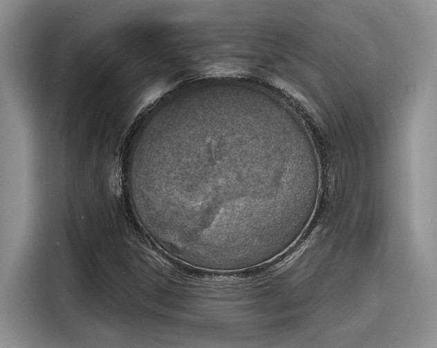 X0000116151306200911301533