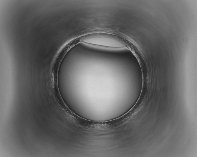 X0000116151310200911301533