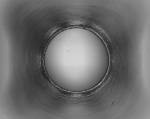 X0000116151313200911301533