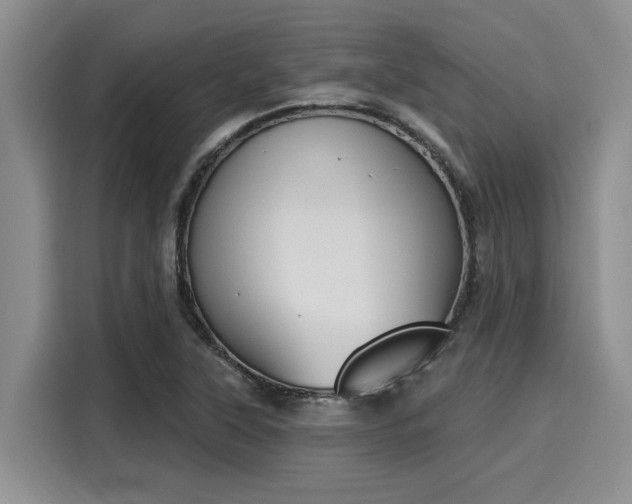 X0000116151315200911301533