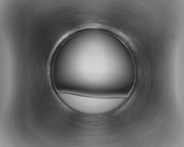 X0000116151326200911301533