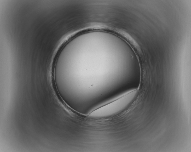 X0000116151327200911301533