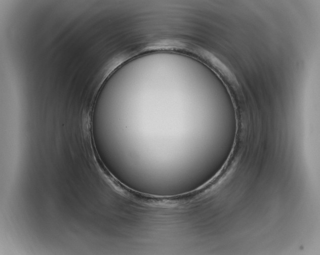 X0000116151329200911301533