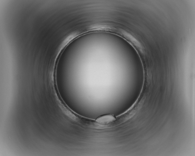 X0000116151330200911301533