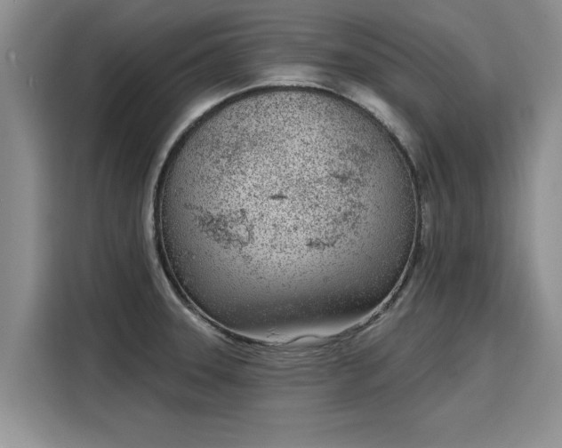 X0000116151331200911301533