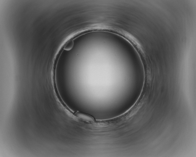 X0000116151334200911301533