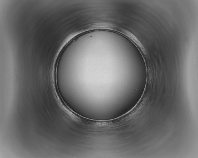 X0000116151339200911301533