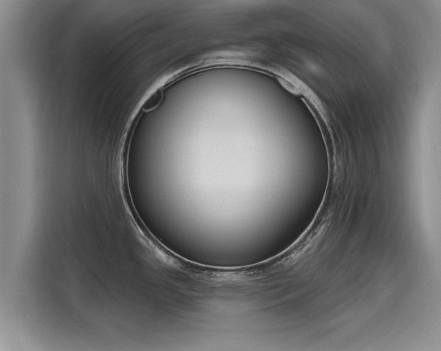 X0000116151341200911301533