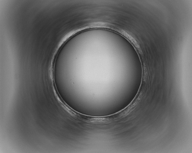 X0000116151342200911301533