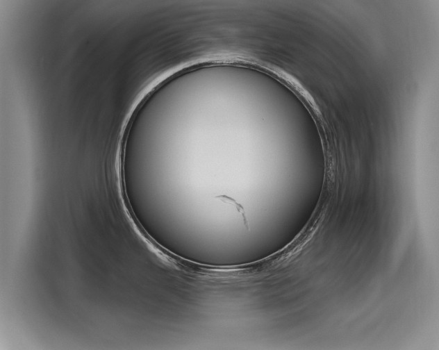 X0000116151343200911301533