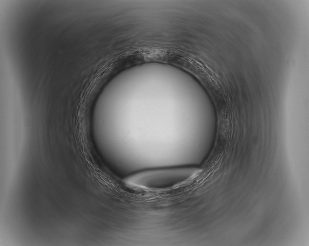 X0000116151345200911301532