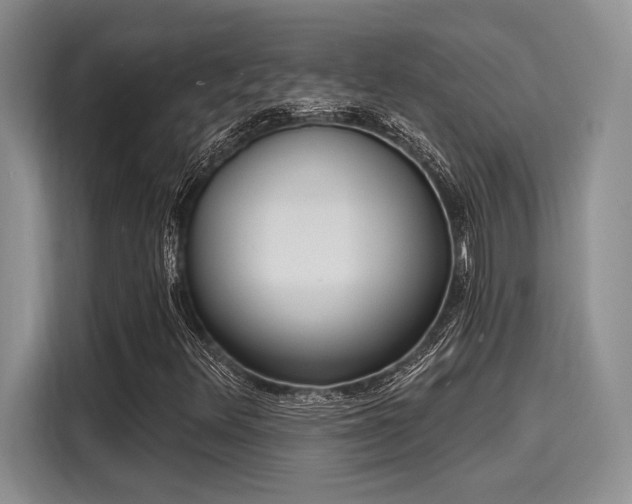 X0000116151348200911301532