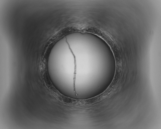 X0000116151349200911301532