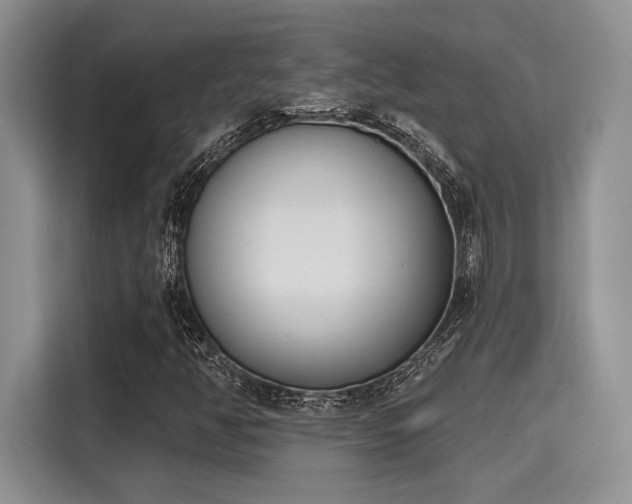 X0000116151350200911301532