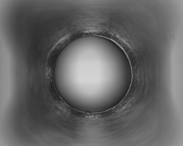 X0000116151351200911301532