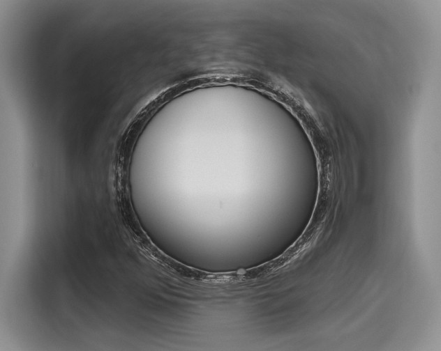 X0000116151352200911301532