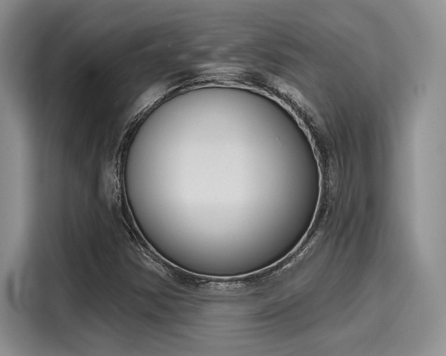 X0000116151354200911301532