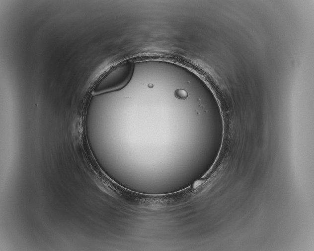 X0000116151355200911301532