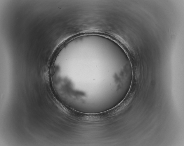 X0000116151356200911301532