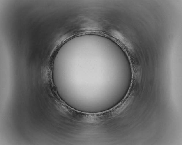 X0000116151357200911301532