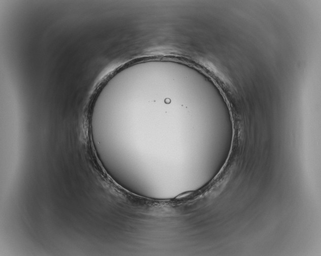 X0000116151358200911301532