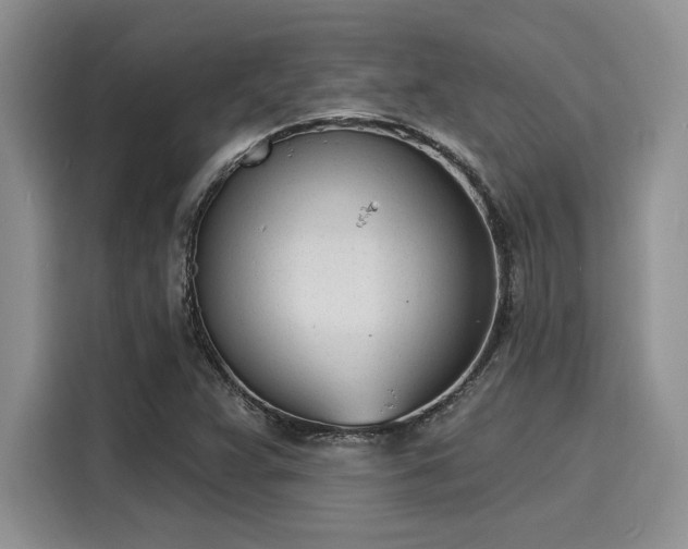 X0000116151359200911301532